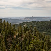 Forested hills with rock formations in the background