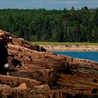 People scramble over cliffs and play on a sandy beach in front of a forest.