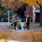 Mothers walk with their young children in a park with bright autumn foliage.