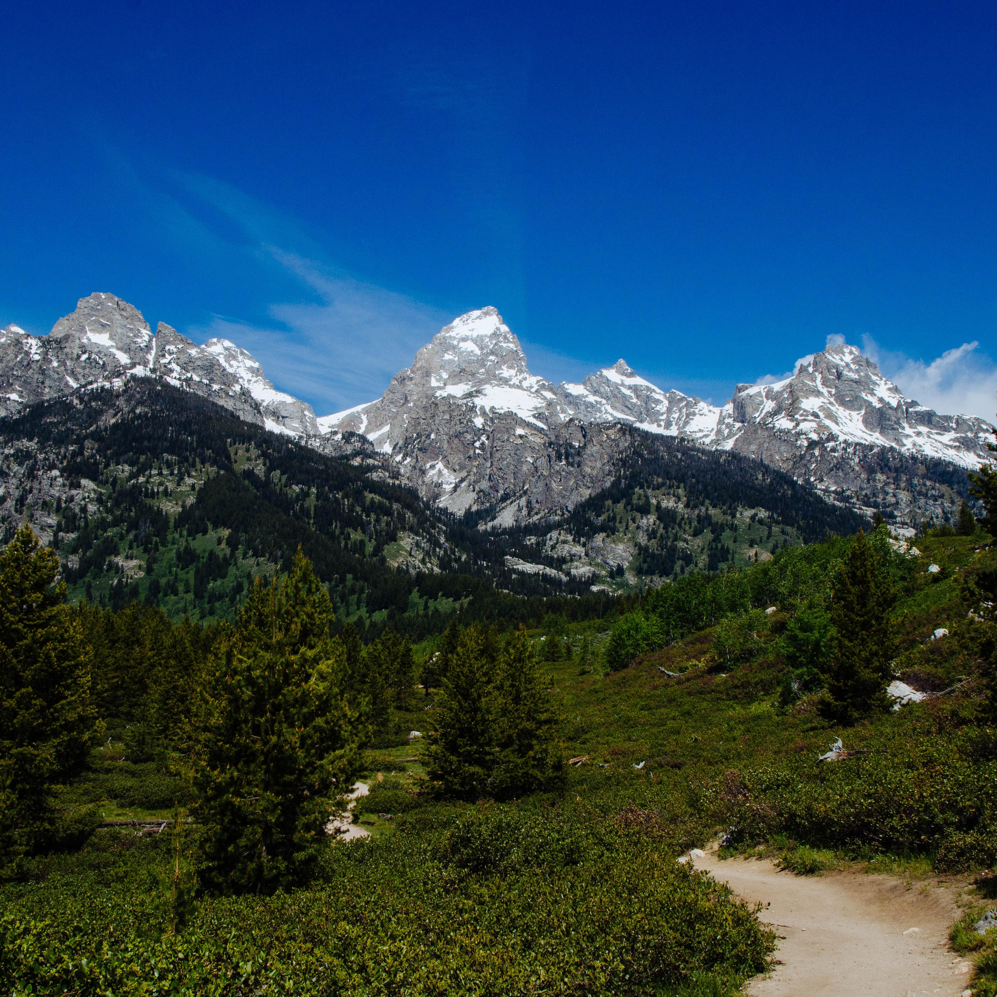 A trail winds through bushes towards a mountain range.
