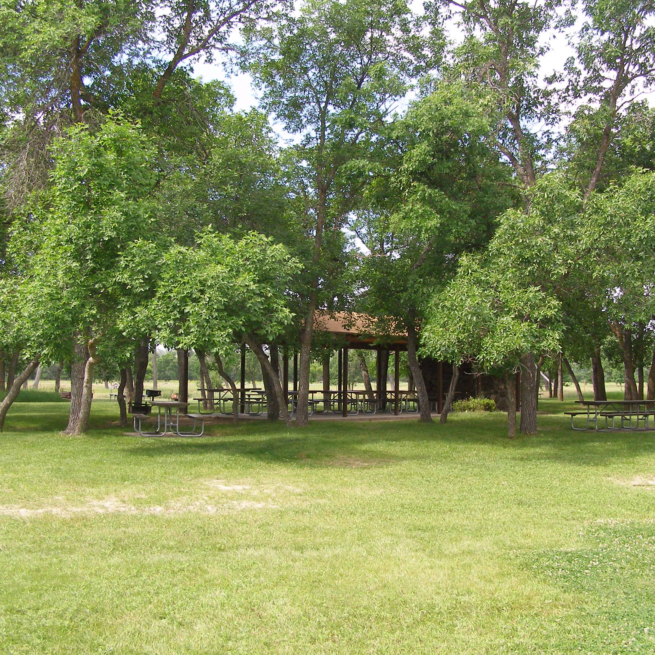 A large grassy field with picnic tables and trees throughout.