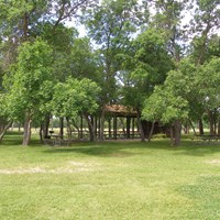 A large grassy field with picnic tables and trees throughout.