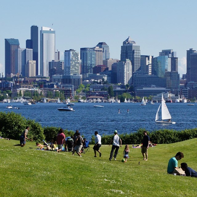 People playing in a park with a city on the horizon across a body of water