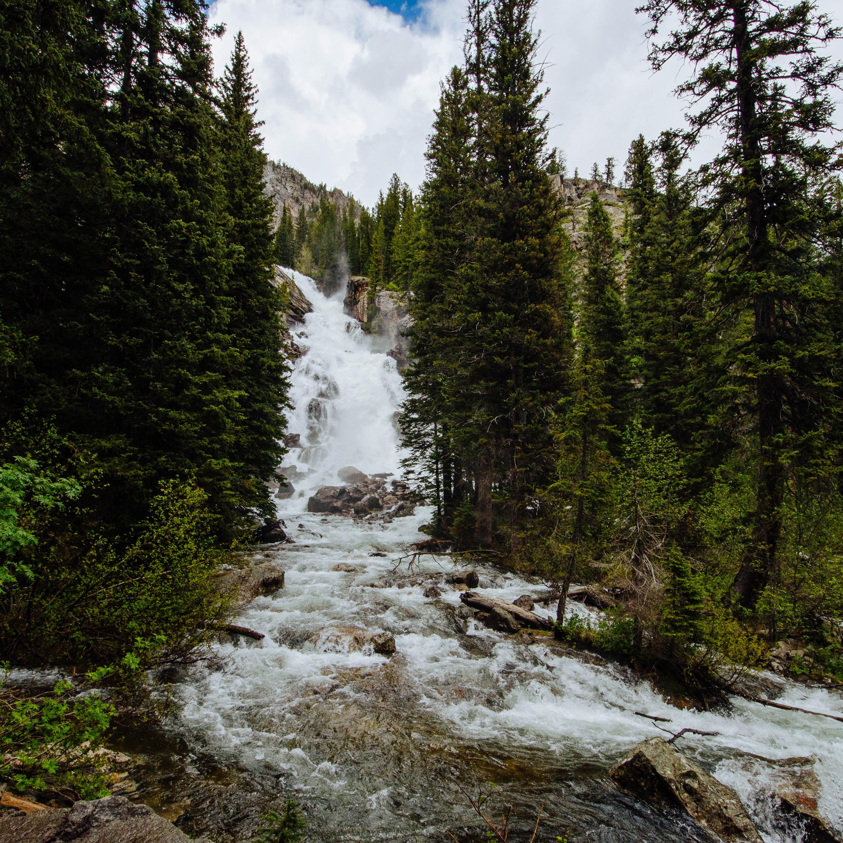 Water cascades down a 100 ft waterfall tucked into a forest of conifer trees.