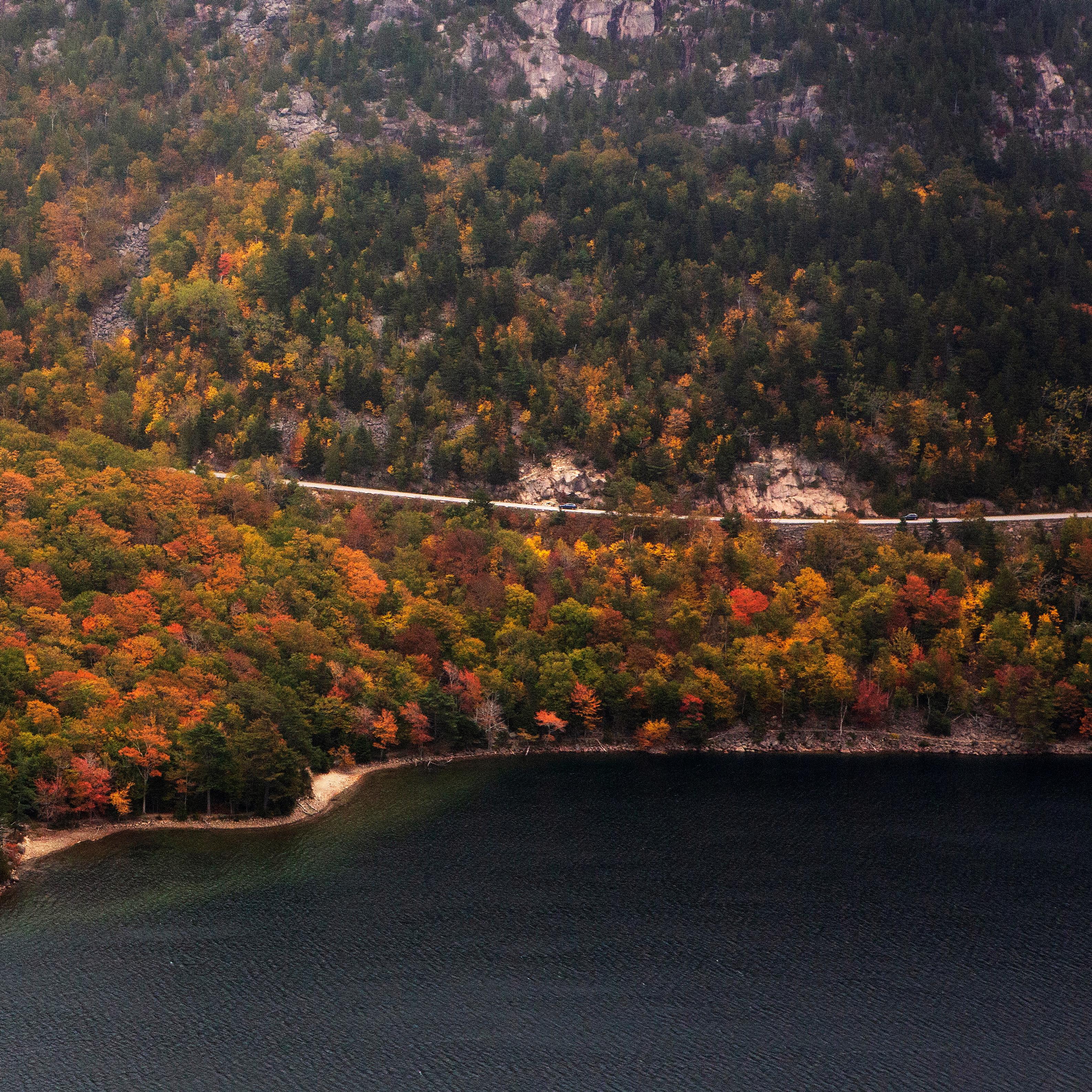 A road goes through brightly colored leaves around a mountain above a lake.