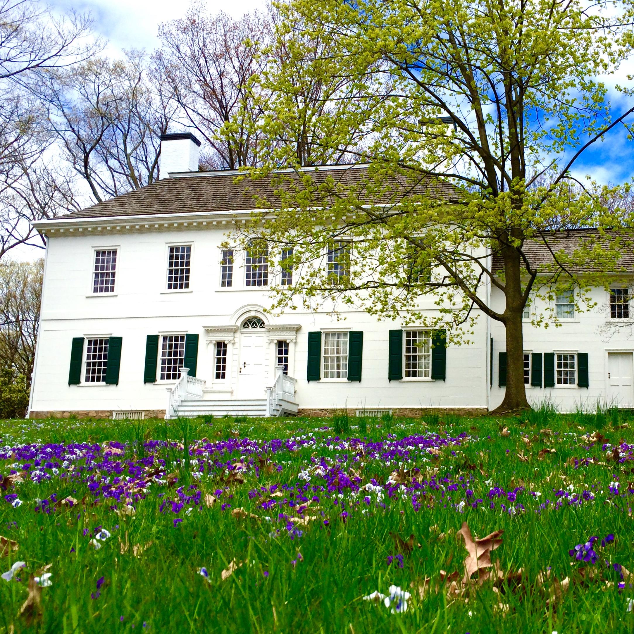The white Ford Mansion sits among green grass and purple flowers.