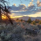 sunset from a trail surrounded by sagebrush and pine trees with mountains in the background