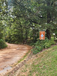 Intersection of two historic roads, with a brown sign, lined ay tall trees.