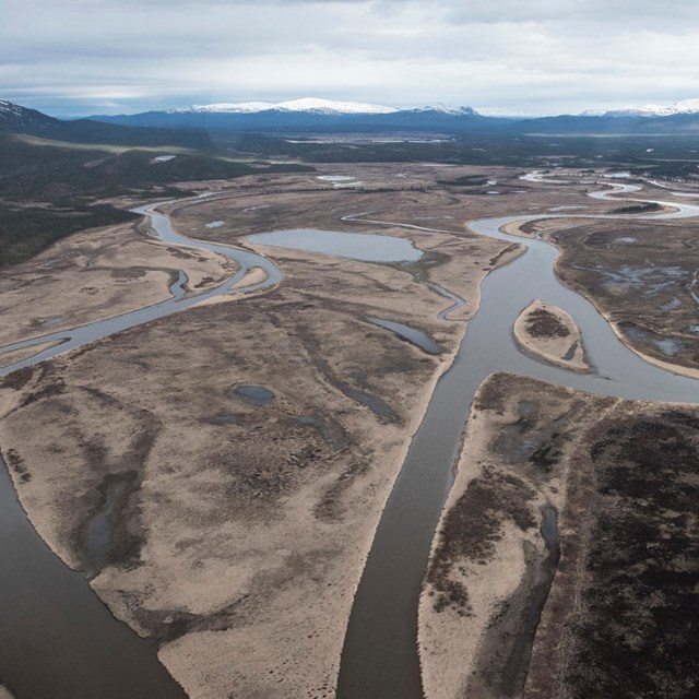 Aerial view of braided stream across Alaskan tundra