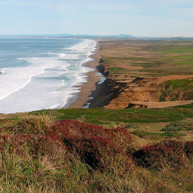 Pacific Ocean on the left, the Great Beach stretching up the center, and pasturelands on the right.