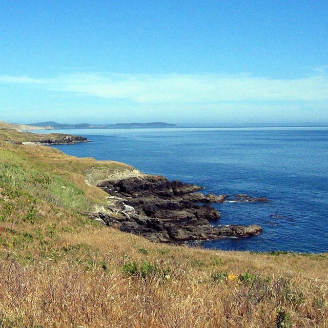 grassy cliffside with ocean below