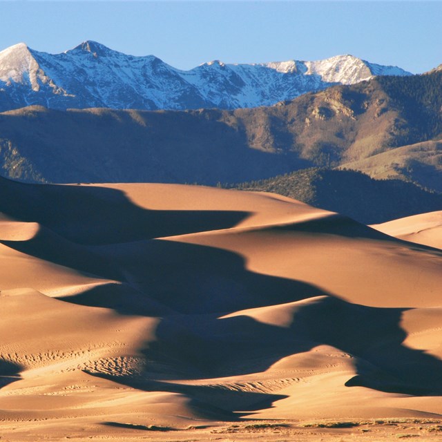 Shadows on sand dunes in front of snowy mountain peaks