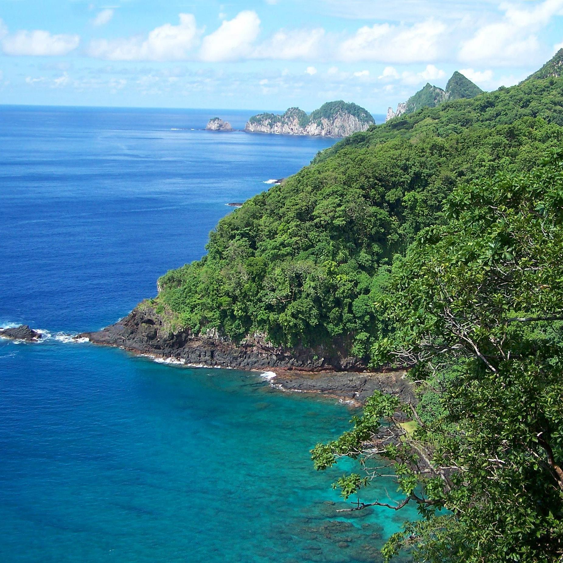 Lush tropical shore with blue-green waters