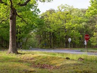 A road intersection with Civil War trenches alongside.