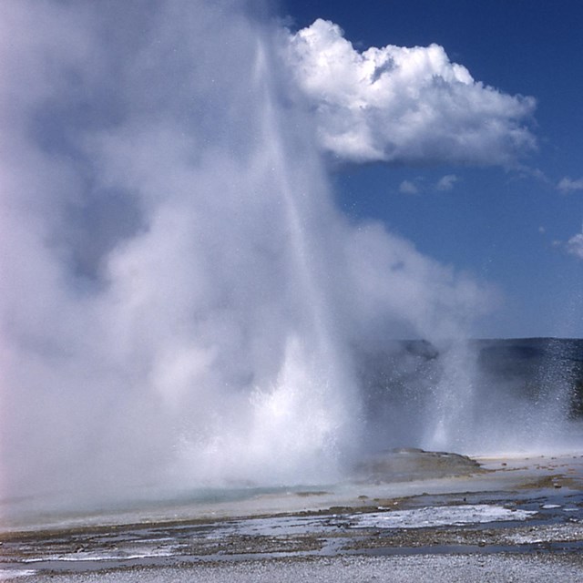 A geyser sprays water skyward at Midway Geyser Basin, Yellowstone National Park.