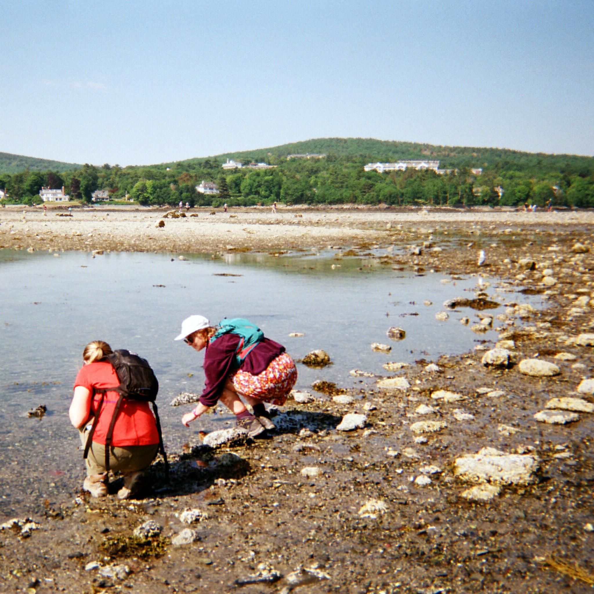 Two people on a sandy gravel area looking at the water