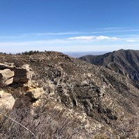 A mountainous ridge with trees and rocks looms in the distance