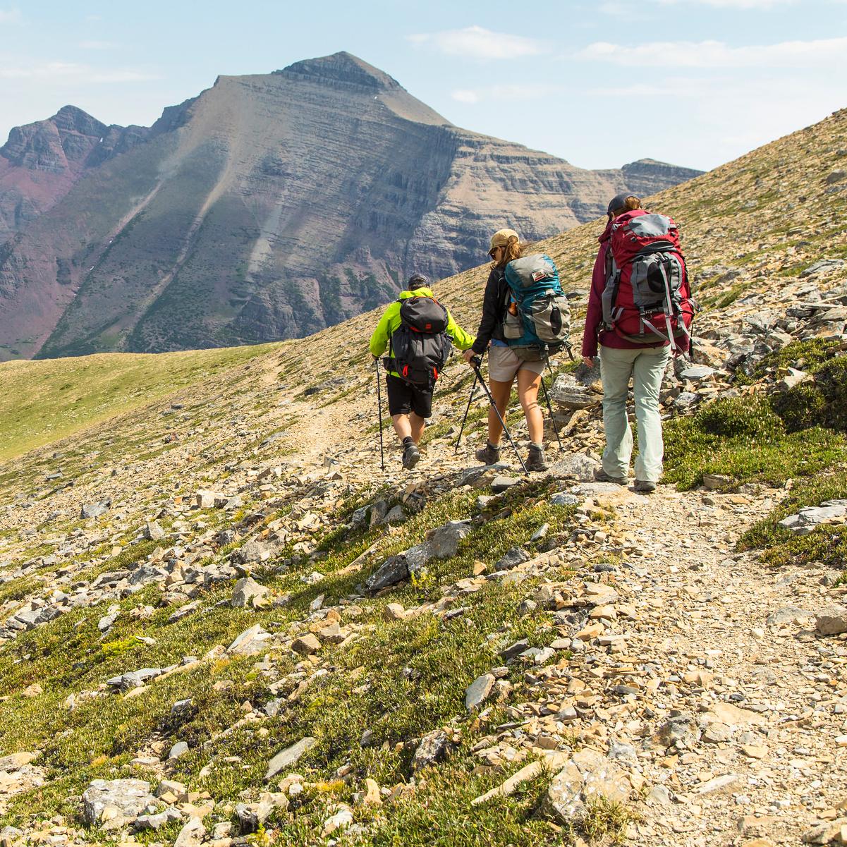 Group of three hikes subalpine trail toward large mountain