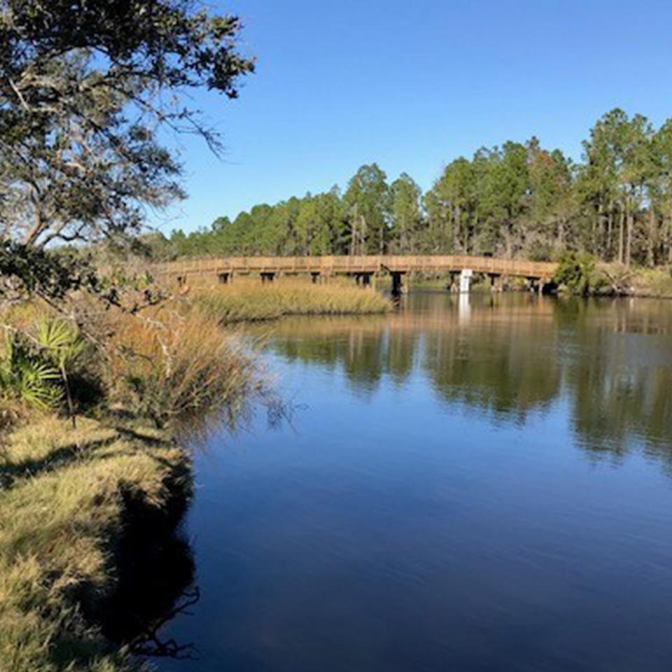 a wooden bridge in the distance over a navy blue river with tree in the left forground