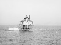 A light house on posts above the water, making it look like a bug.