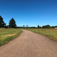 A paved trail on a sunny day