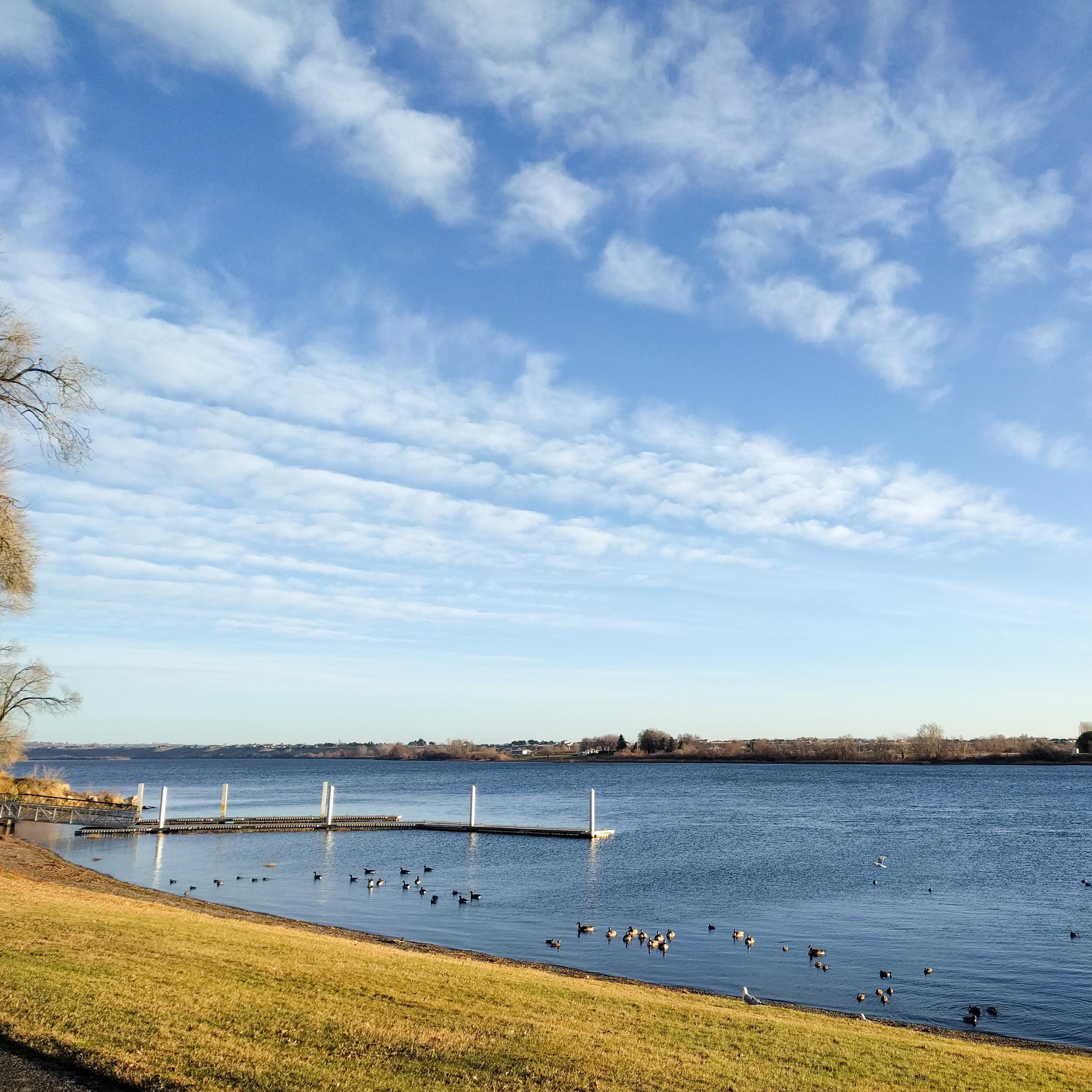 A large river with a dock and birds on the water. In the foreground is grassy shoreline. 