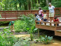 Children and adults on a wooden platform by a pond with lily pads at Woodend Nature Sanctuary.