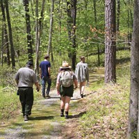Park rangers and visitors walk on winding mossy trail through forest.