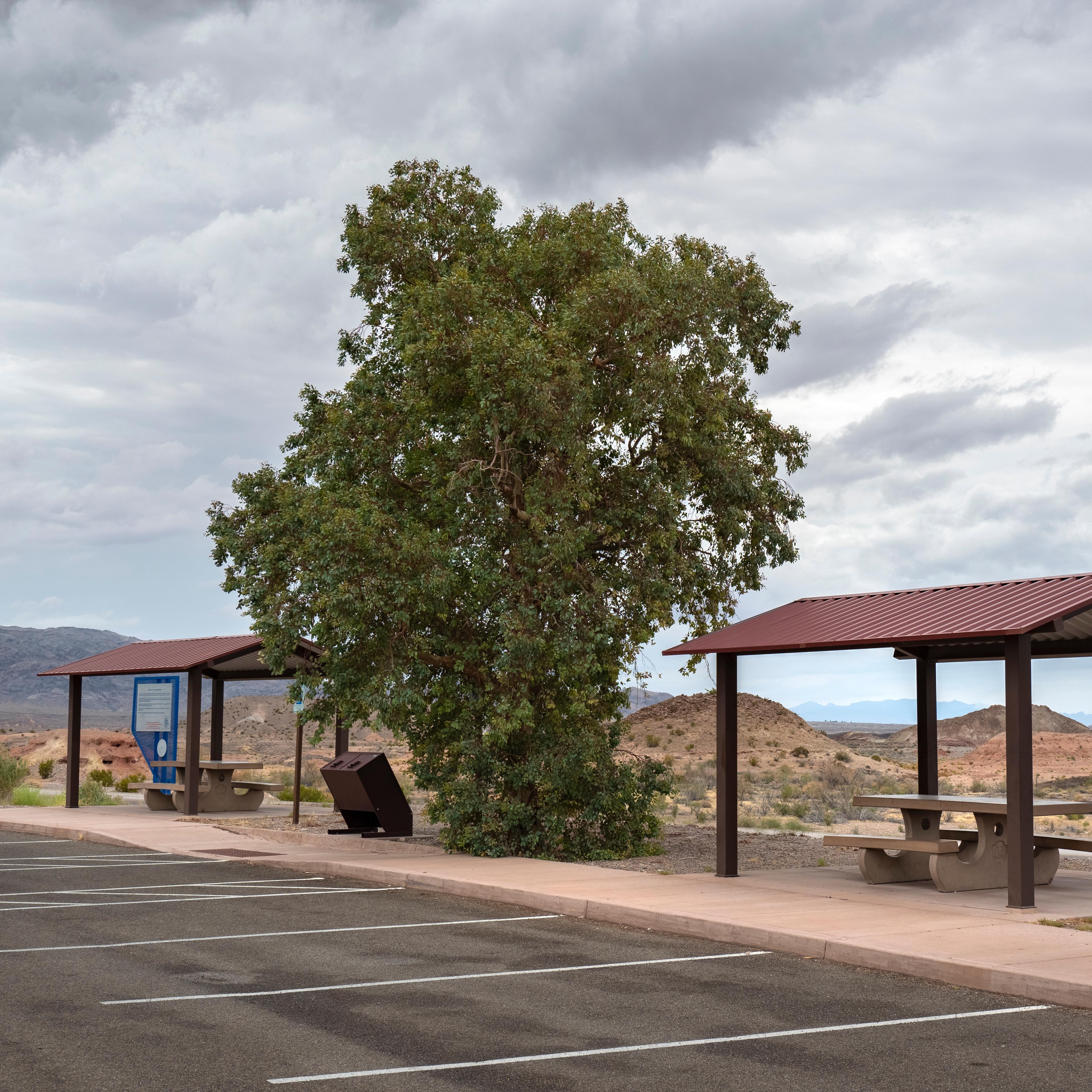 Two picnic shelters next to a parking lot