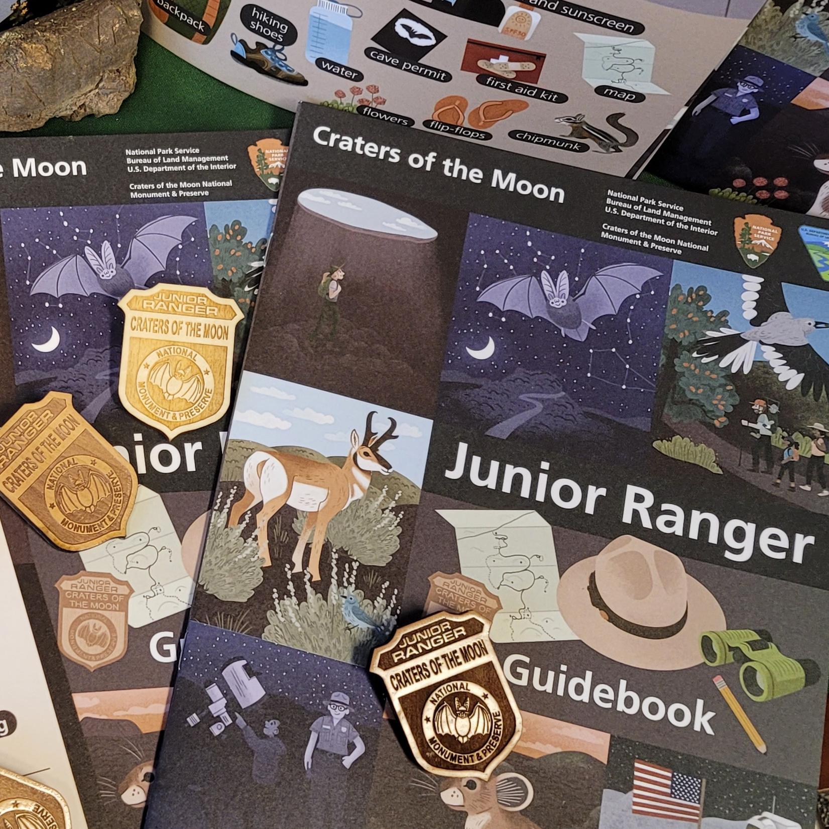a display featuring a junior ranger guidebook and several activities and junior ranger badges