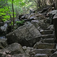 Rock steps pass a small cascade in a forest