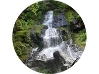 A waterfall trickling down rocks framed by green vegetation.
