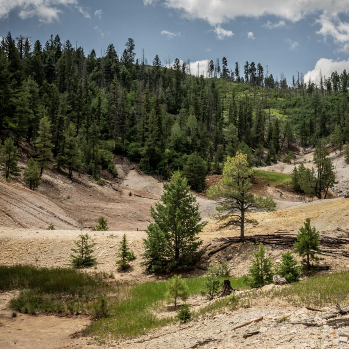 A hilly, geothermal landscape of bleached rock and soil largely devoid of vegetation.