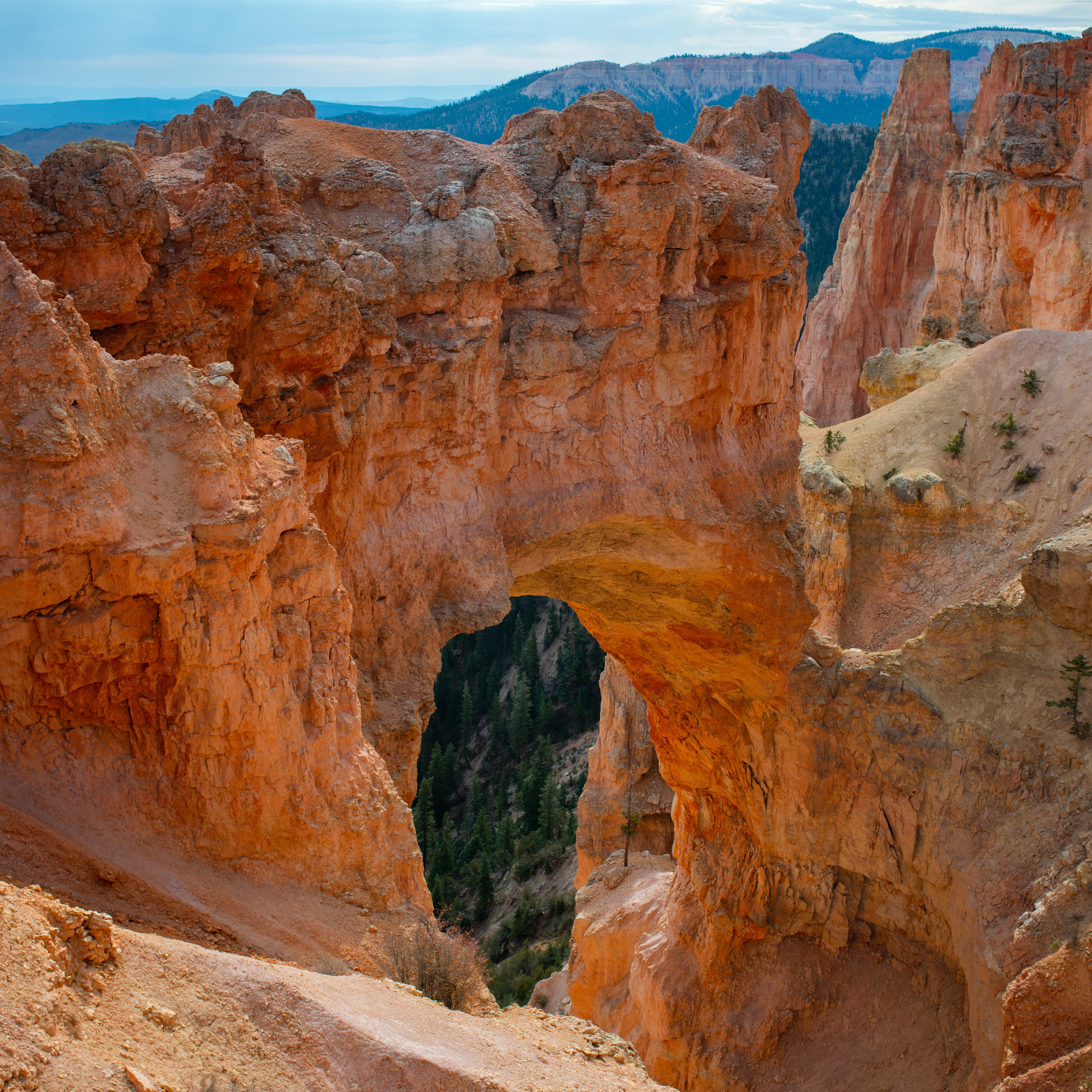 A large red rock limestone arch stands along a slope above forested cliffs