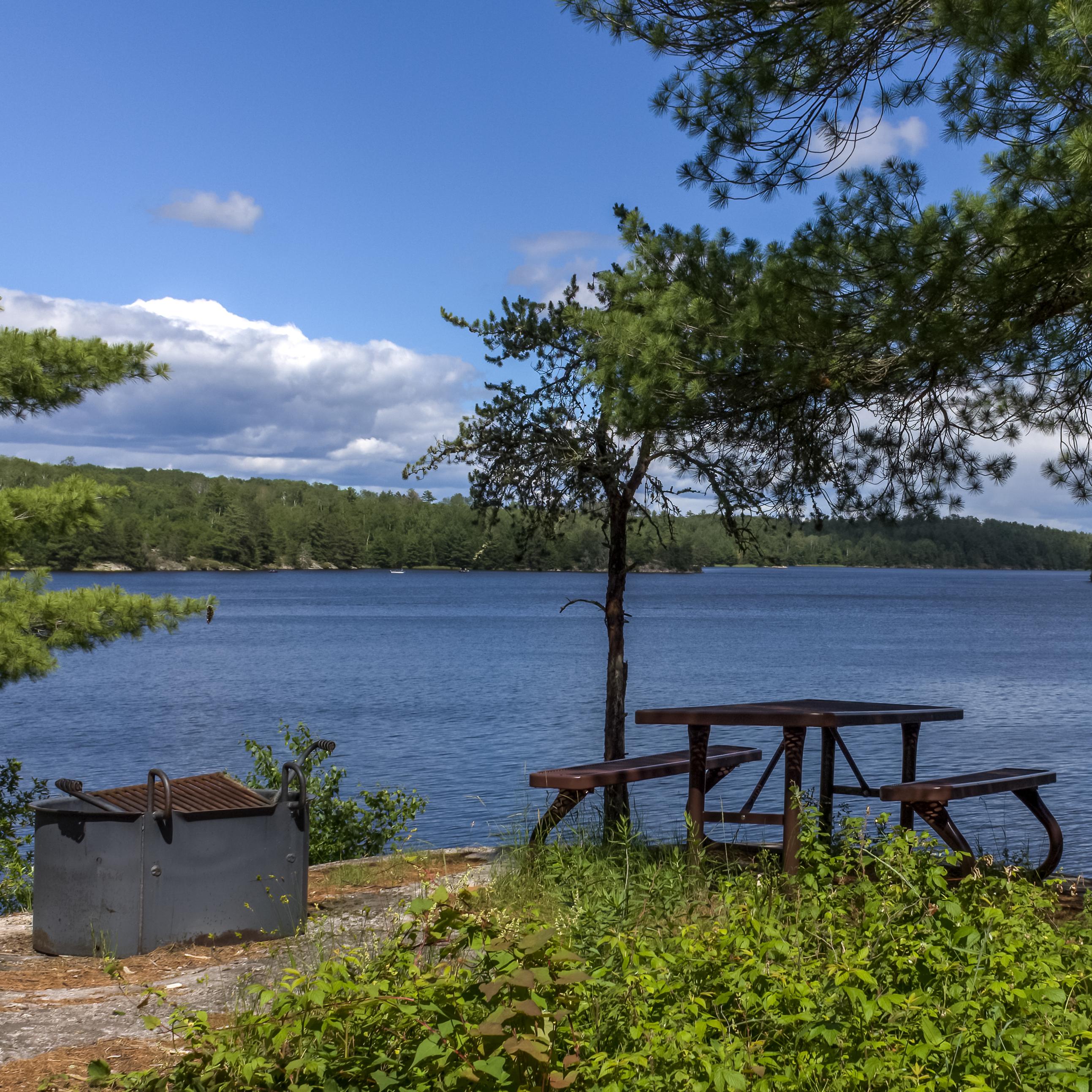 Picnic table and metal fire pit next to tree, overlooking lake with forest in background.