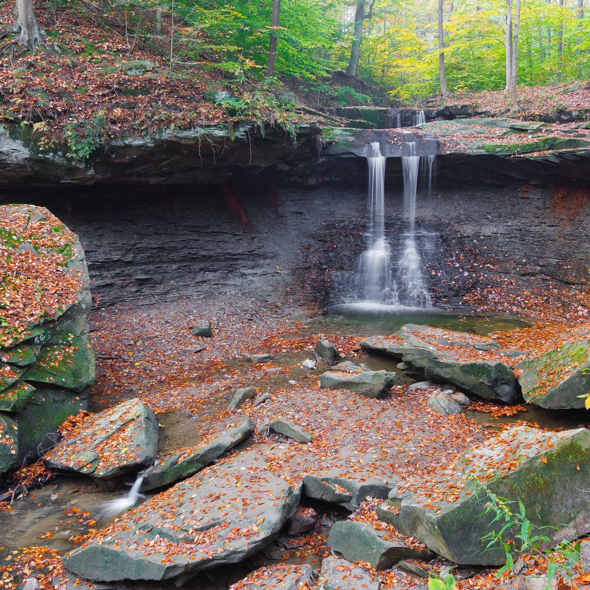 Water falls from a rim of gray rock, trees in the background; orange leaves dot the rocky hollow.