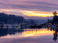 Purple sunrise over a harbor