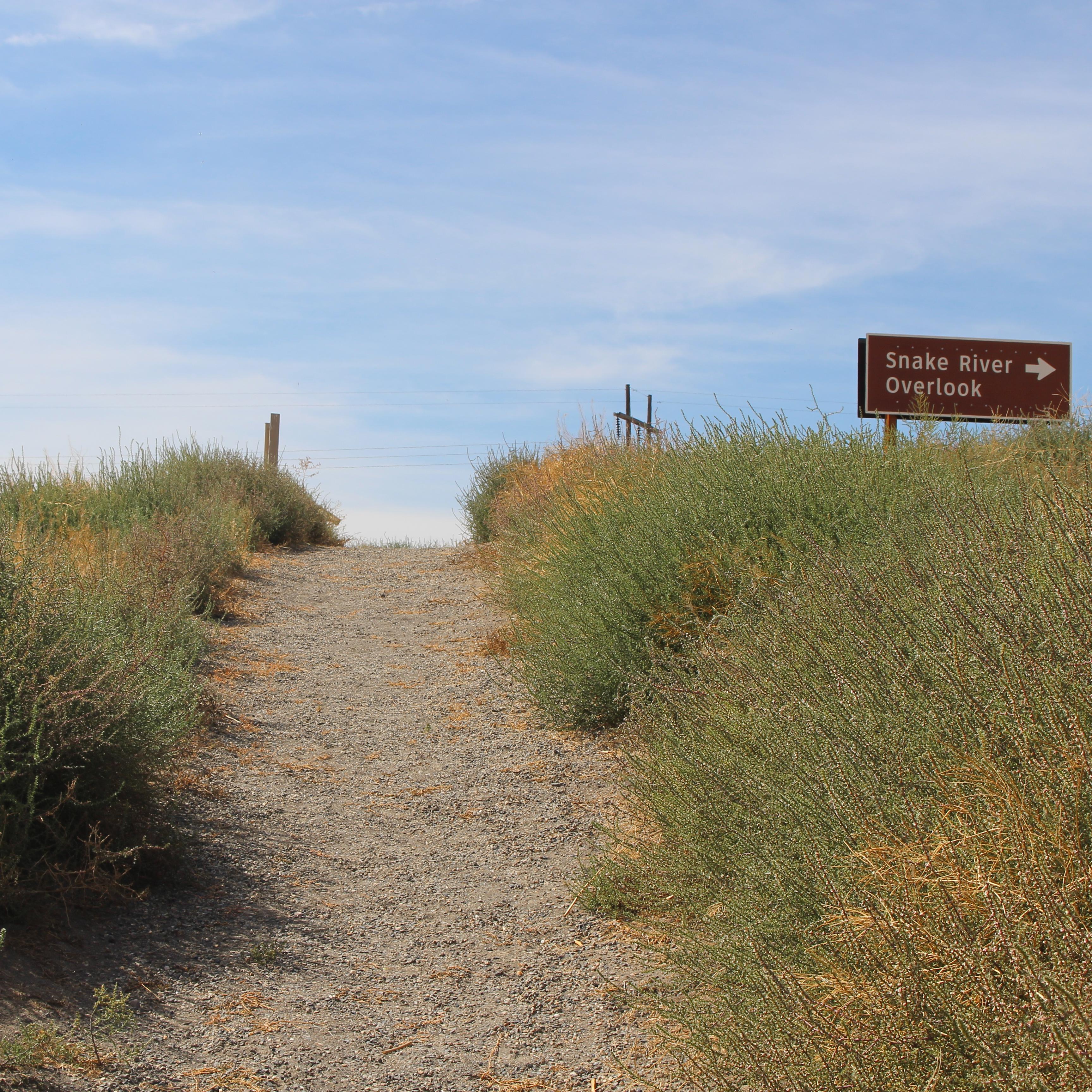 gravel trail leading up small but steep hill to the Snake River overlook parking