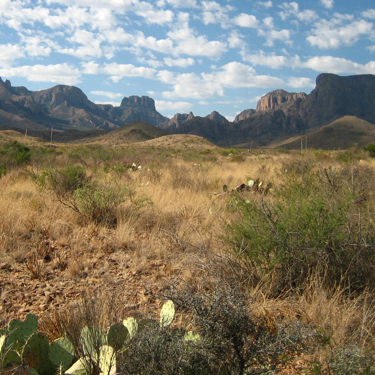 The Chisos Mountains form the rugged heart of Big Bend