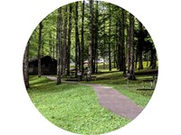 Foreground grass and a sidewalk to picnic tables, grills, and a restroom facility all among trees