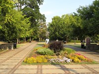 Open space with walkways and flowers. Photo by Ken Lund, Flickr, CC BY-SA 2.0