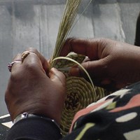 A close up of a someone\'s hands weaving a basket out of sweetgrass.