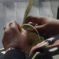 A close up of a someone\'s hands weaving a basket out of sweetgrass. 