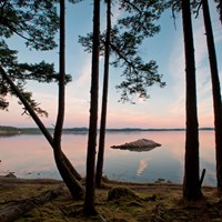 View through the trees of a calm ocean bay during sunset