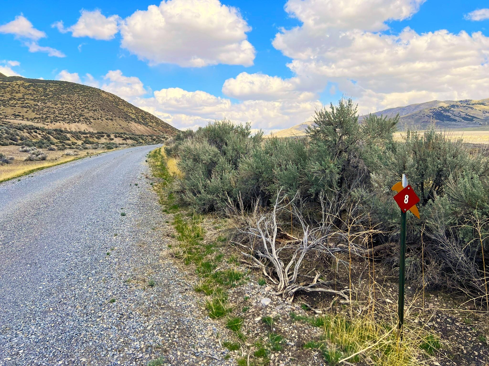 Gravel Road along a landscape of sagebrush of yellow and green. Vast views of hills and Blue sky