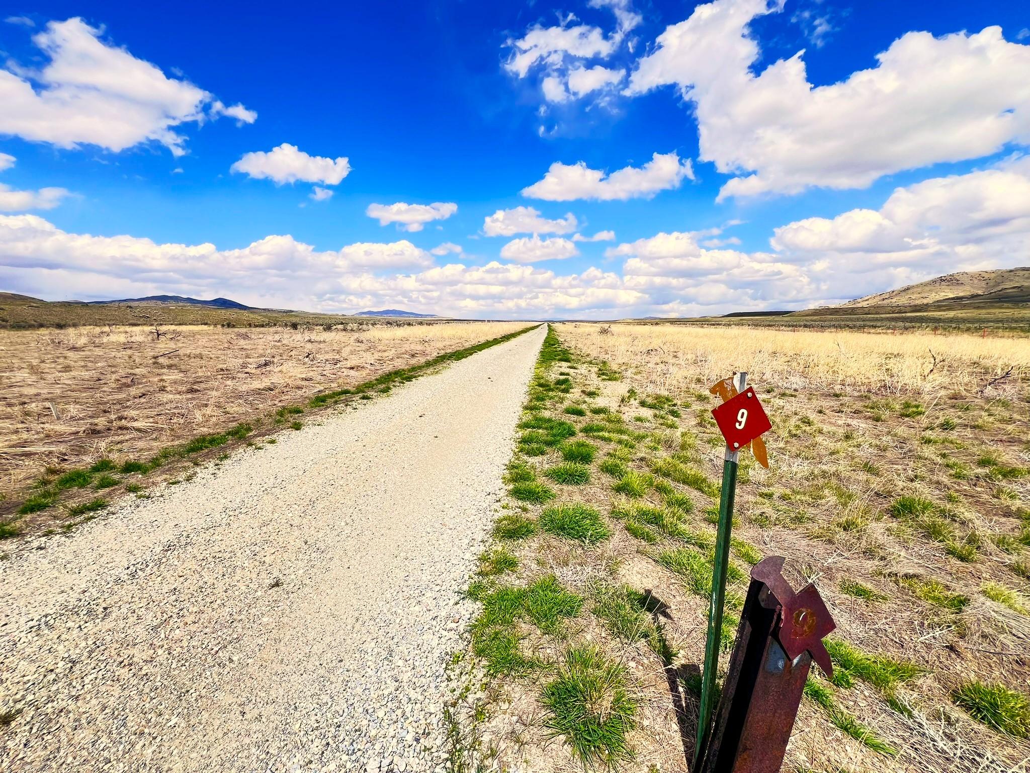 Gravel road among yellow and green sagebrush, views of vast valley mountains in distance