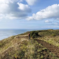 A hiker on a dirt trail along a hilly coastal bluff
