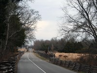 A road flanked by snake rail fence with woods to the left and fields to the right.