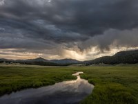 A small stream meandering through a montane grassland at sunset.