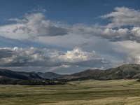 A sweeping view across a montane grassland with forested lava domes rolling beyond.